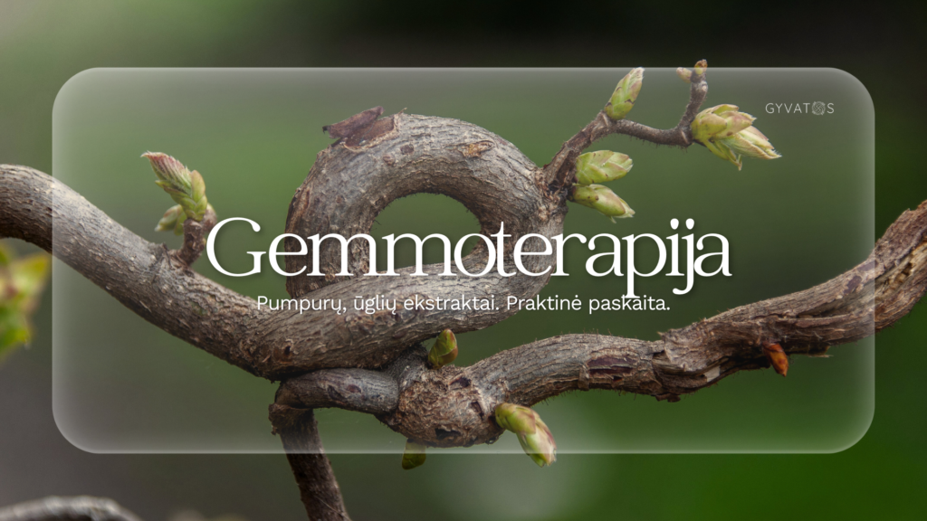 Gemoterapija praktiškai - gemoterapiniai ekstraktai paskaita