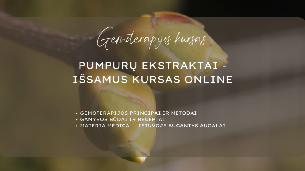 Gemoterapijos kursas online: praktika ir materia medica
