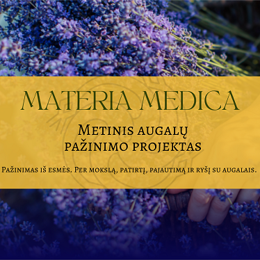 Materia Medica