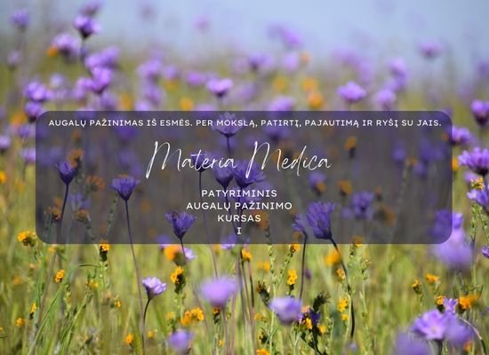 Materia medica I