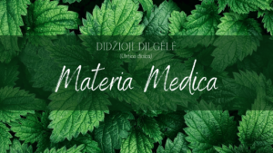 Dilgėlė_Materia Medica