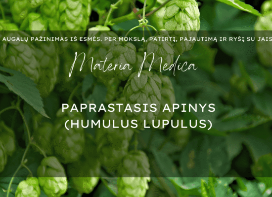 Apynys Materia Medica