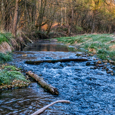 trys gijio paslaptys