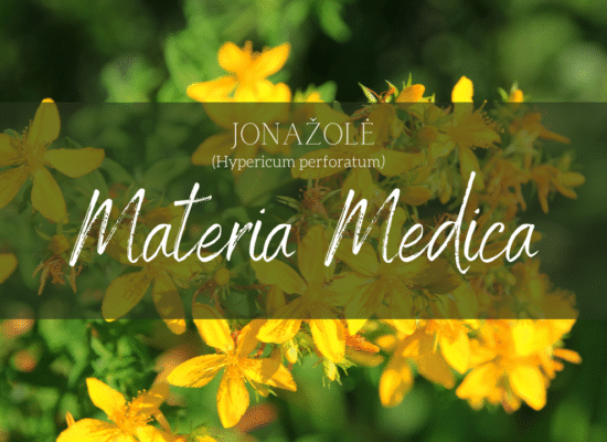 Jonazole materia medica