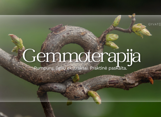 Gemoterapija praktiškai - gemoterapiniai ekstraktai paskaita