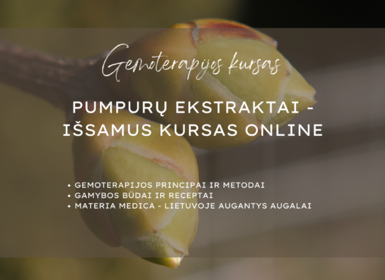 Gemoterapijos kursas online: praktika ir materia medica